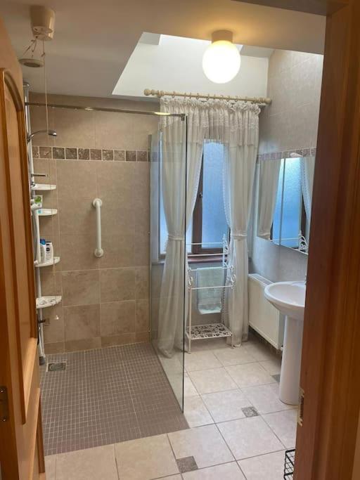 Borodino Studio Apartment Enniscorthy Zewnętrze zdjęcie
