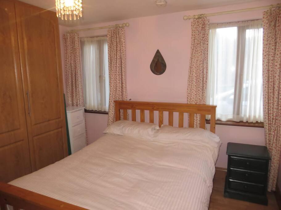 Borodino Studio Apartment Enniscorthy Zewnętrze zdjęcie